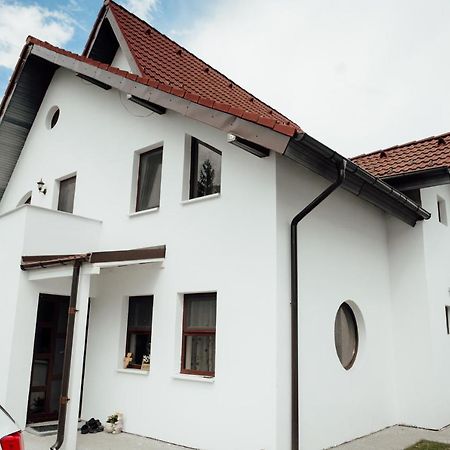 Autentic Adorabil Apartment Albestii Paminteni Esterno foto