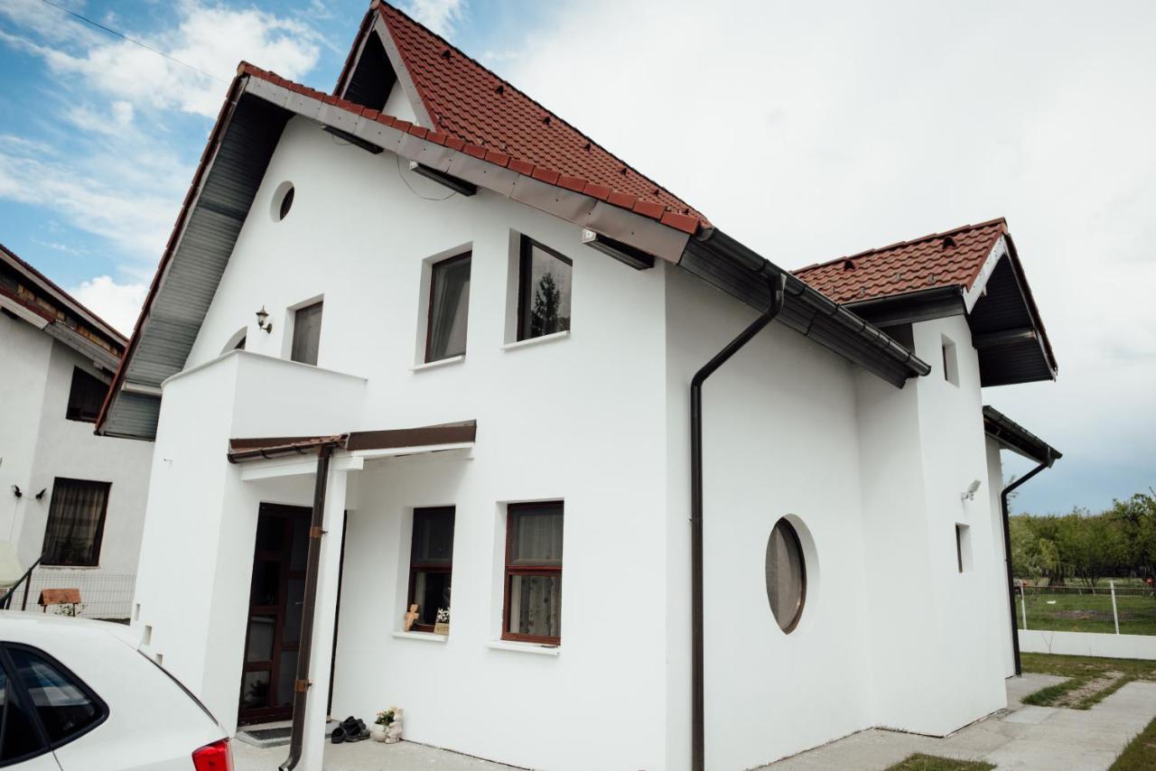 Autentic Adorabil Apartment Albestii Paminteni Esterno foto
