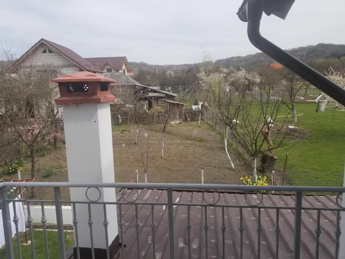 Autentic Adorabil Apartment Albestii Paminteni Esterno foto