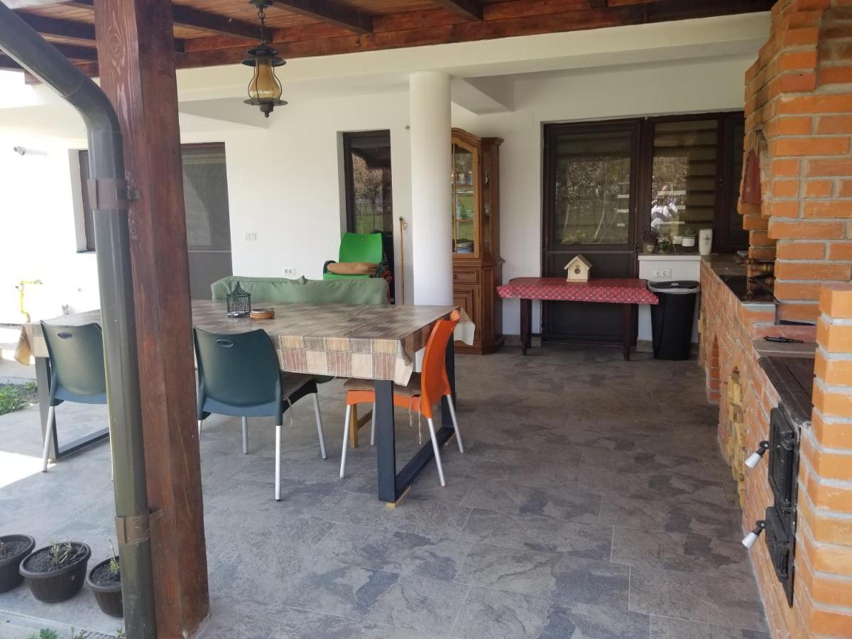 Autentic Adorabil Apartment Albestii Paminteni Esterno foto