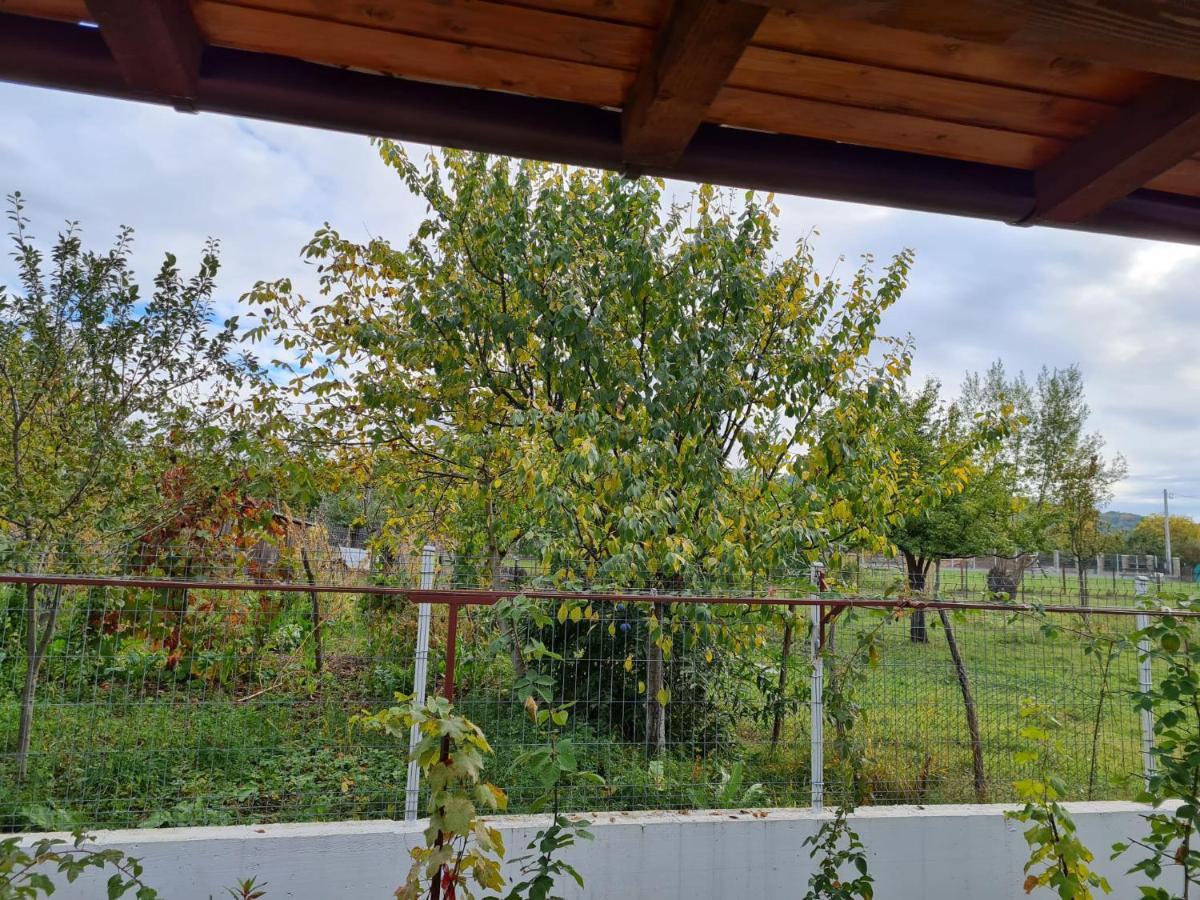 Autentic Adorabil Apartment Albestii Paminteni Esterno foto